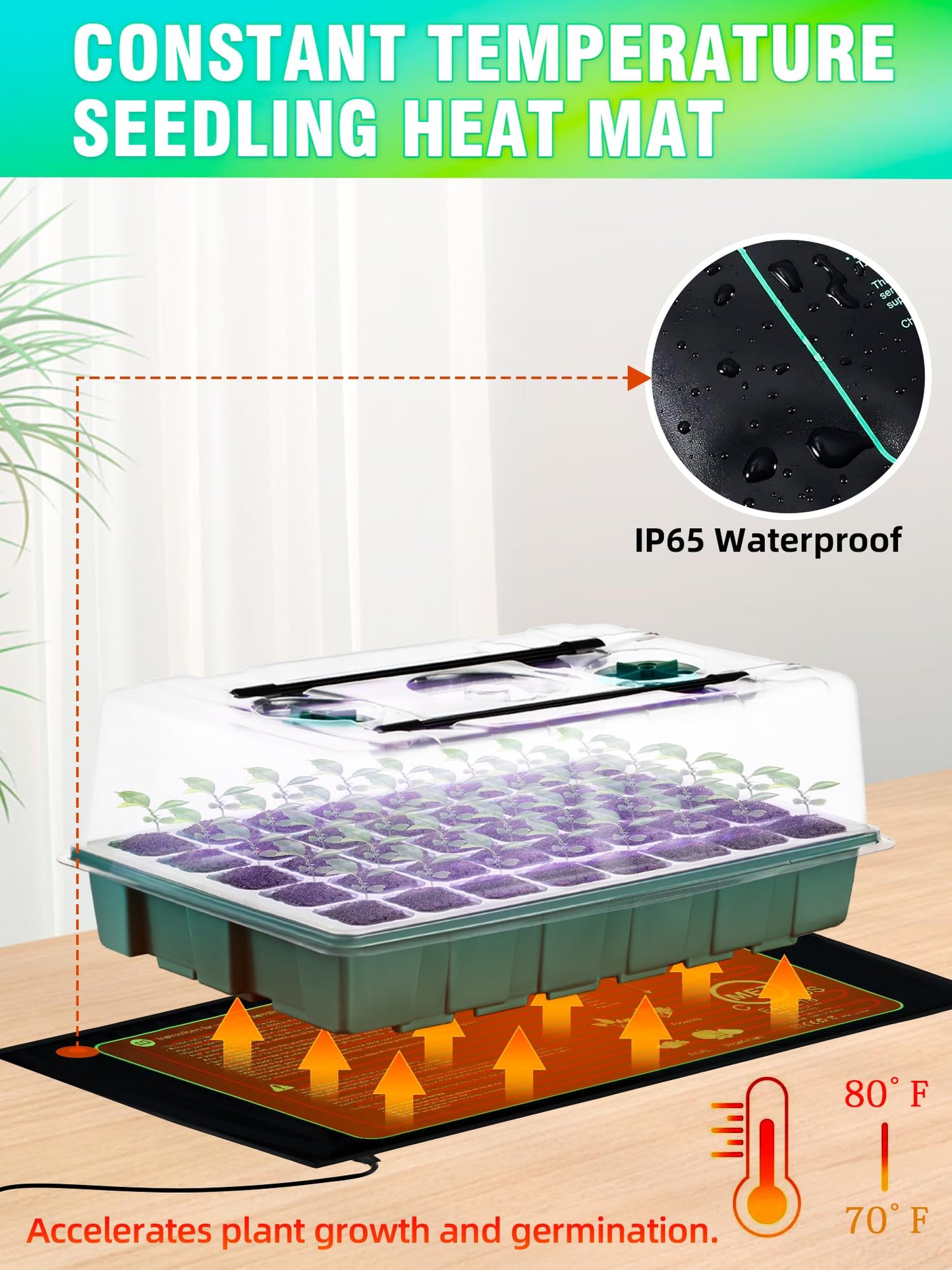 Hugbow Seed Starter Tray with Grow Lights and Heat Mat, 3-in-1 Soil Meter, 80-Cell Seed Growing Tray, Germination & Plant Propagation Station for Indoor Plants 2-Pack