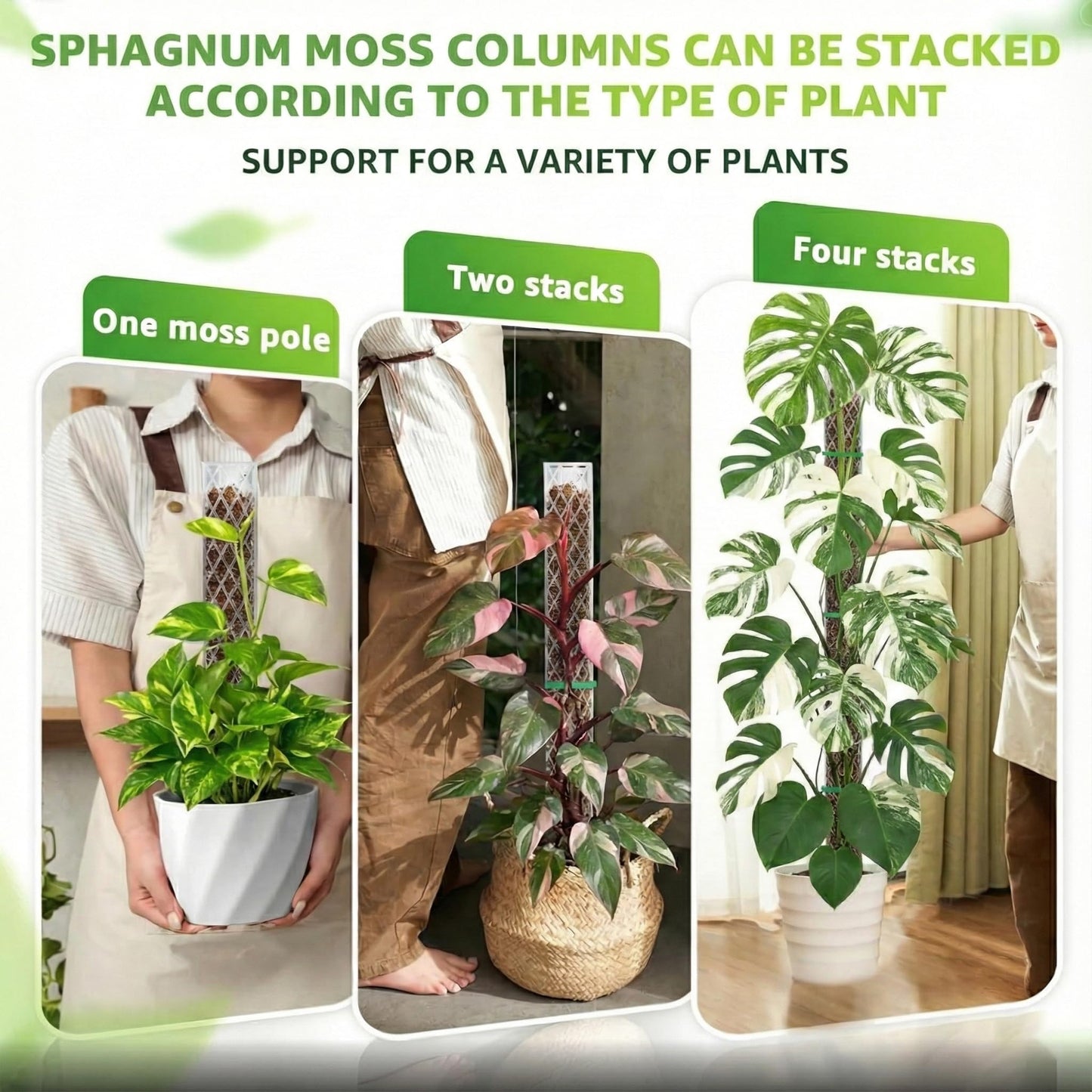 Sisher 6 Pcs Monstera Moss Pole,Plastic Moss Poles for Climbing Plants Work with Sphagnum Moss,6×16'' Plant Support for Indoor Plants,Garden Ties