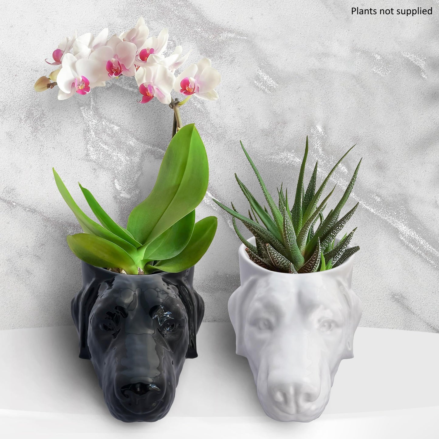 Novelty Labrador Retriever Dog Head Planter w/Drainage, Yellow, Black, Chocolate Lab Mom Dad Gift, Ceramic Pot (Black)