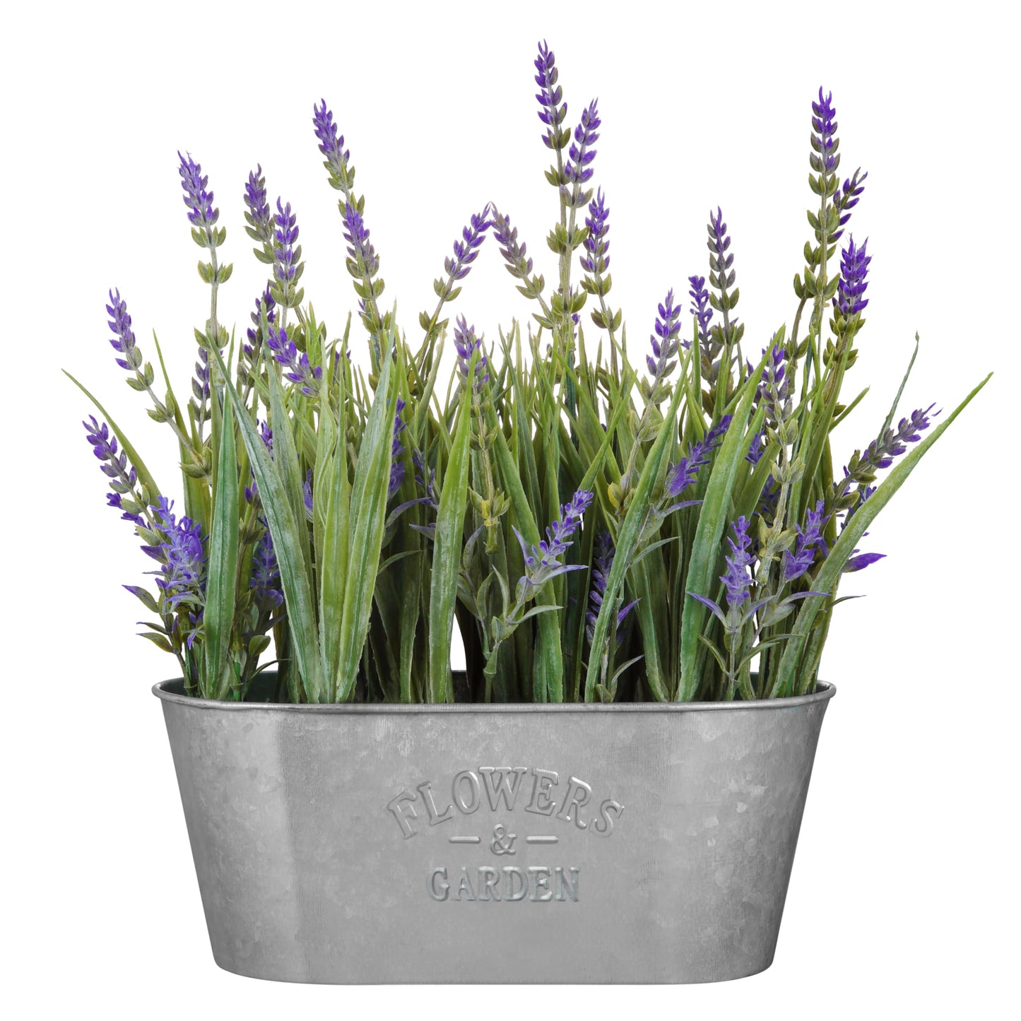 Haute Decor 10 Inch Lavender in Galvanized Metal Pot