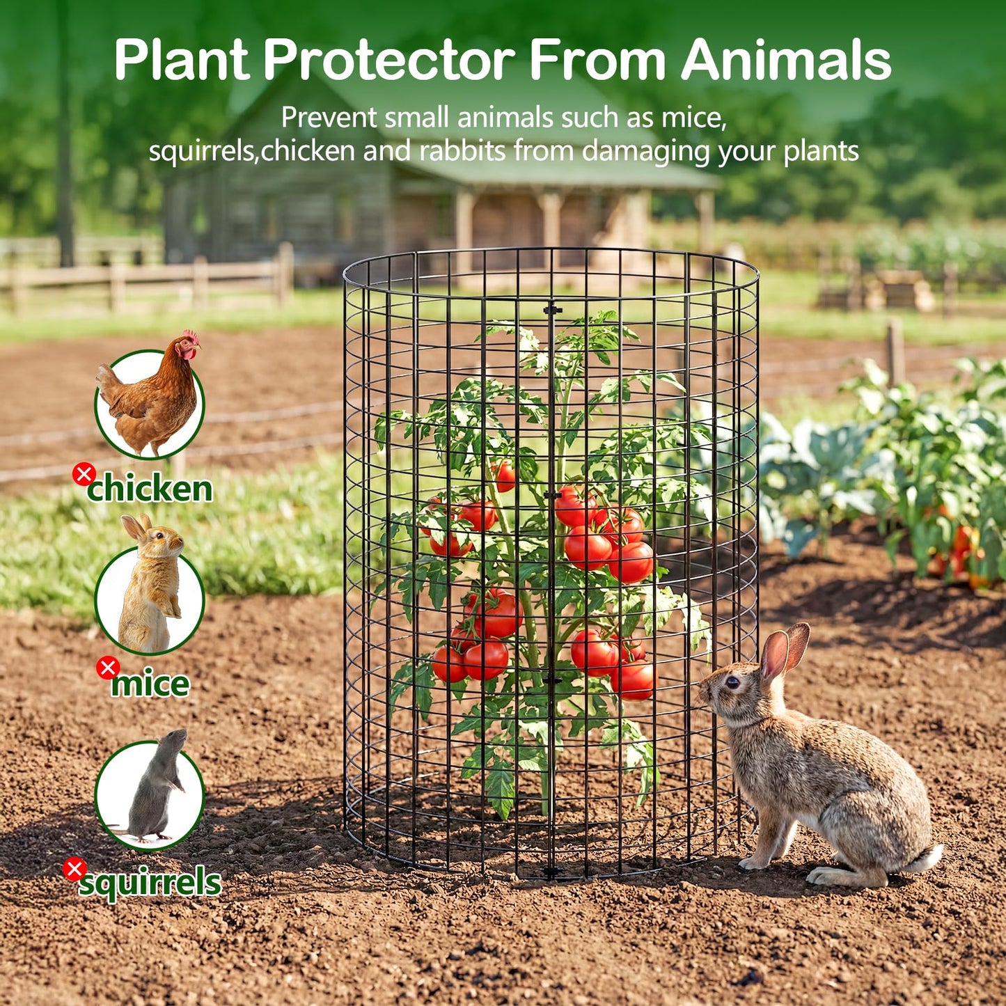 10 Pack Plant Protector from Animals, Wire Mesh Plant Cages for Garden – Sturdy Metal Plant Protectors to Keep Rabbits, Squirrels, and Animals Out– Ideal for Flowers, Outdoor Plants (13'' x 13'')