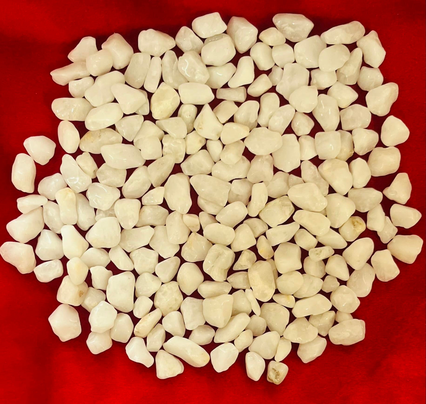 Indian Consigners White Quartz Tumbled Stone Chips – 100g Natural Polished Gemstones for Healing, Energy Work, Crafts & Home Decoration