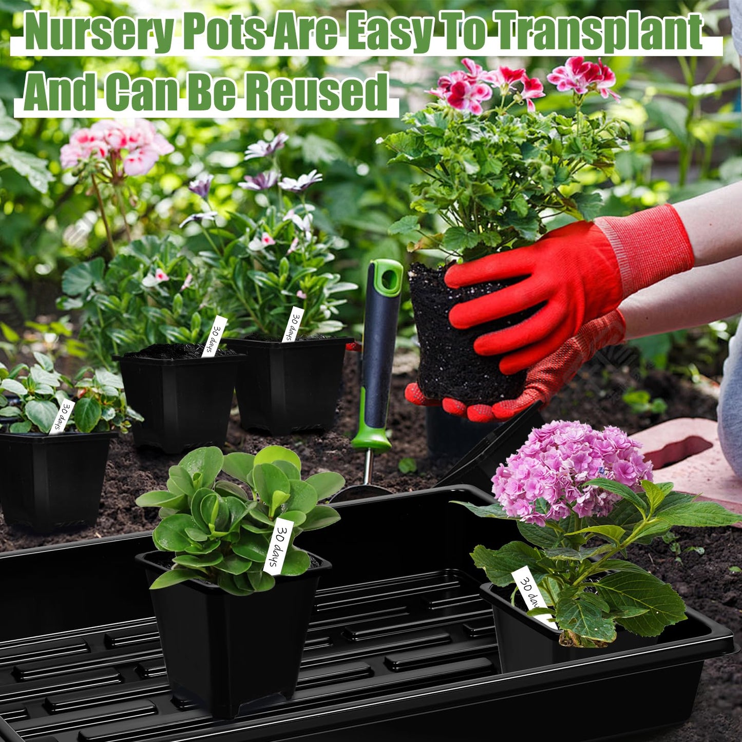mwellewm 5 Pcs Seed Starter Tray, 3.5 Inch (9CM) 60 Pcs Nursery Pots Kit, Thickened Seed Starting Trays Square Seedling Pots for Plants Sturdy Microgreens Growing Trays Reusable Germination Tray