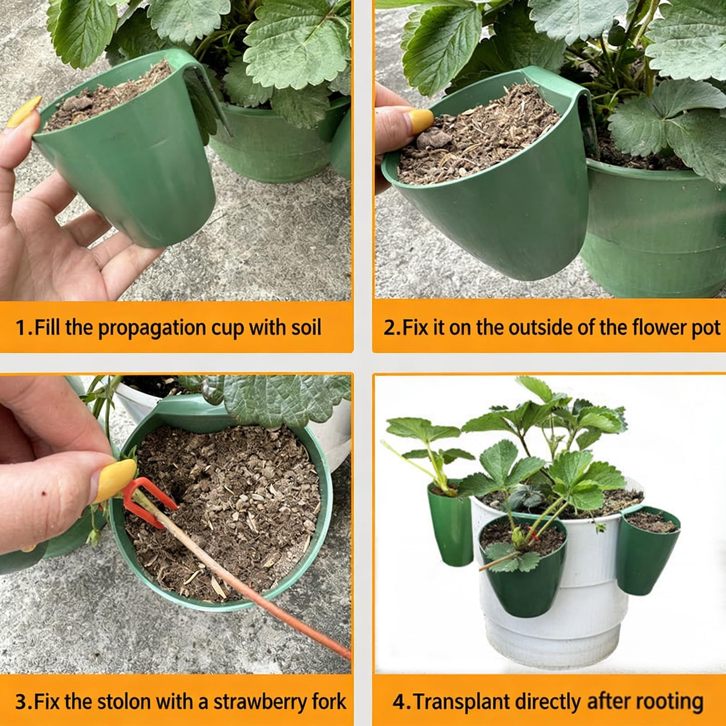 ordinarYone Breathable Strawberry Propagation Cups with Runner Forks for Root Rot and Promote Growth in High Hu