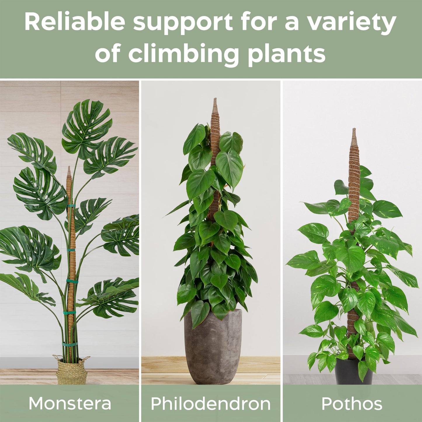 K-Brands 48'' Bendable Moss Pole Monstera Plant Support - Coconut Palm Fiber - Brown - Rectangular - Climbing Plant Support Structure