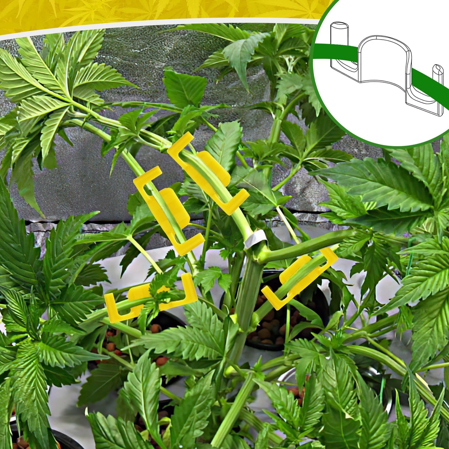 40 Pack LST Plant Training Clips – Durable & Reusable Stem Support for Low-Stress Training – Fits All Growth Stages