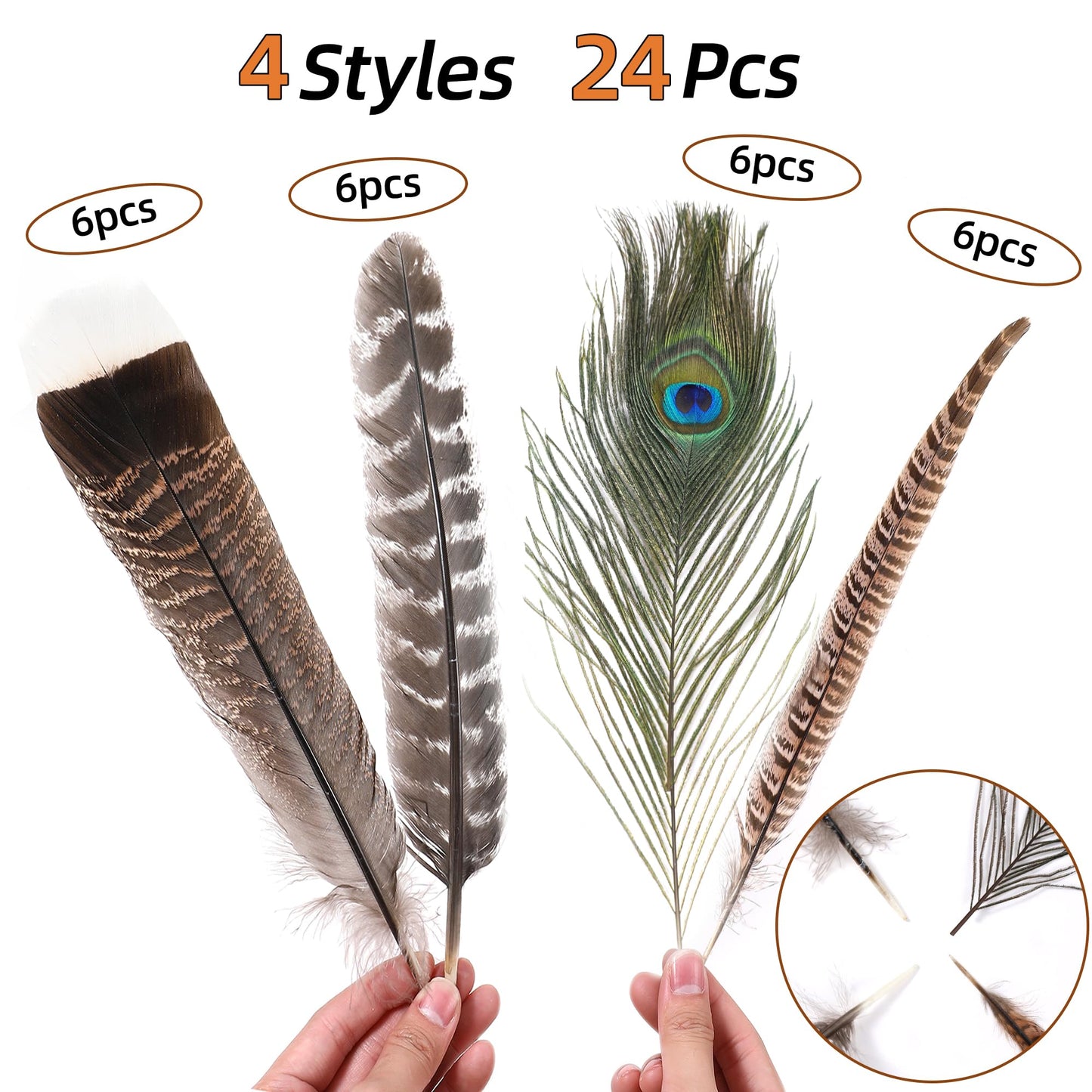 Ballinger Large Natural Pheasant Feathers - 8-12inch 4 Styles 24Pcs Assorted Craft Feathers Bulk,Peacock Feathers, Pheasant Feathers,Turkey Feathers for Crafting Vase Hat Wedding Autumn Party Decor