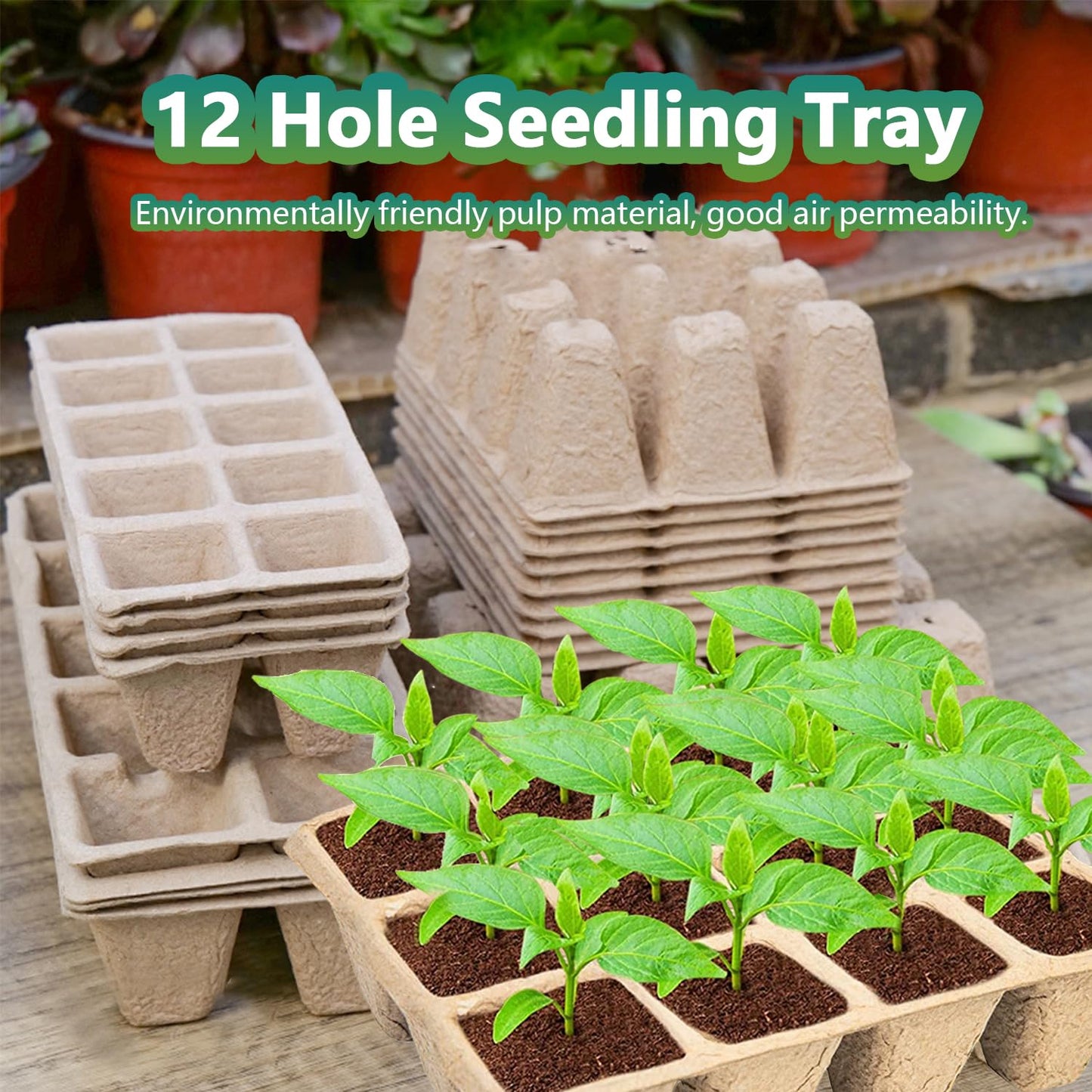 Doubleggs 240 Cells Seed Starter Tray, 20 Pack Biodegradable Peat Pots with 200 Labels, Plant Starter Kit for Seedlings