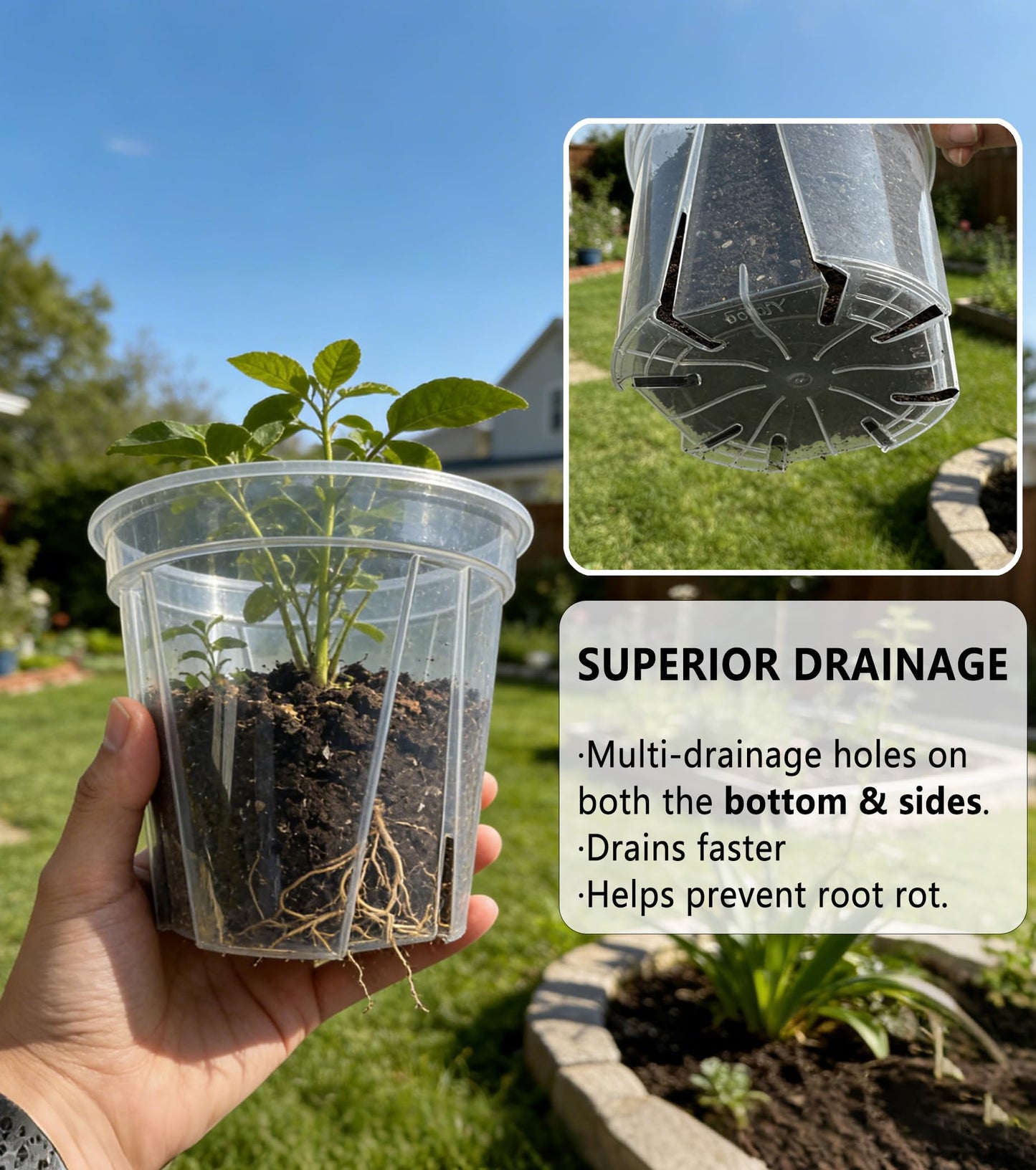 12-Pack Thick Clear Nursery Pots with Saucers (4/5/5.5/6.3 Inch) – Transparent Plastic Plant Pots with Drainage Holes & 12 Labels, Assorted Sizes for Seed Starting, Succulents, Indoor Outdoor Use