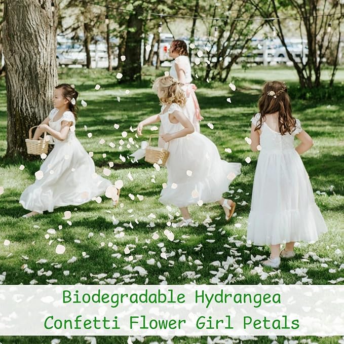 4500Pcs Ivory White Dried Hydrangea Flower Petals - 100% Natural Real Off-White Flower Petals for Wedding Confetti, Flower Girl Basket, Shower Party, DIY Crafts (3.17oz)