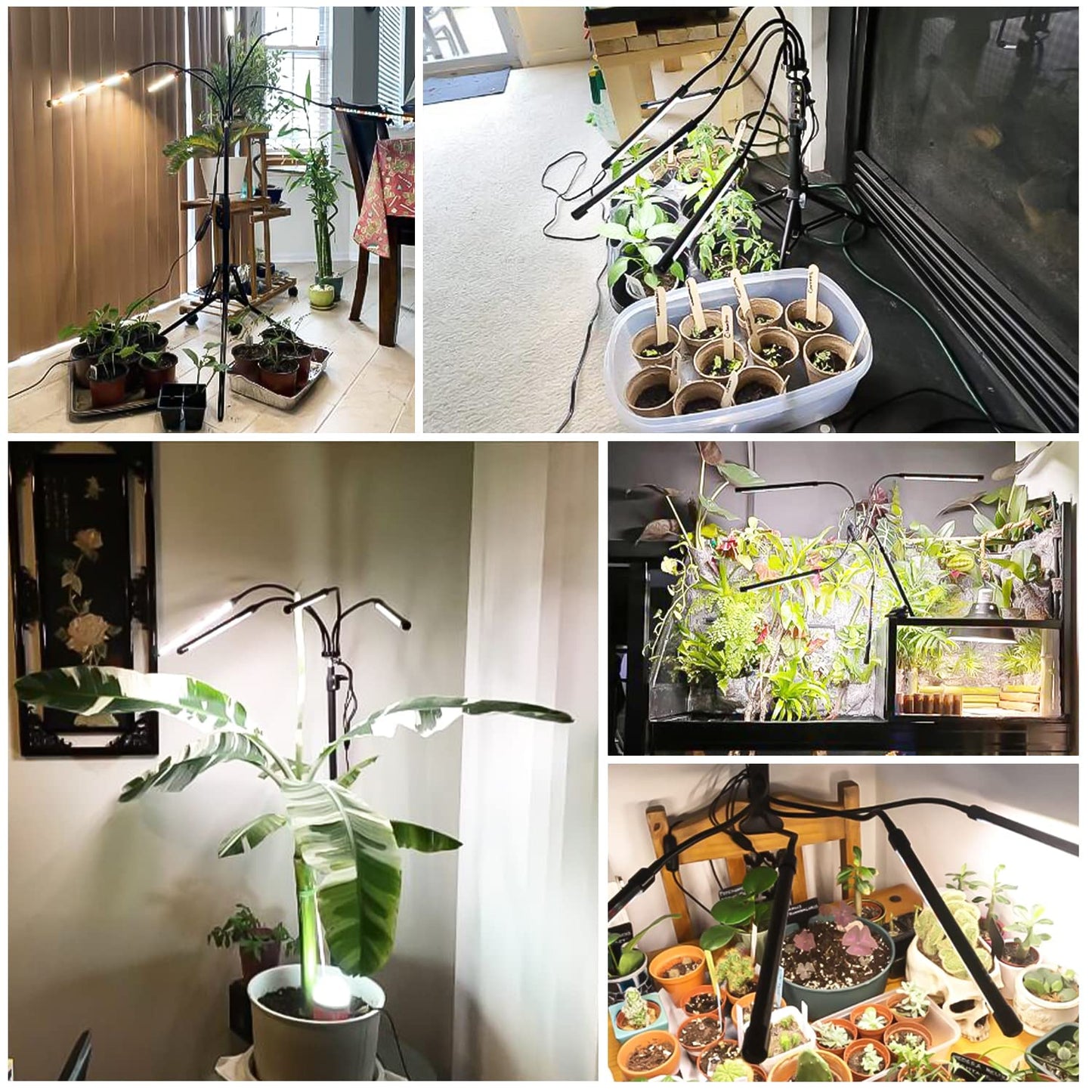 Garpsen Grow Lights for Indoor Plants, 5 Heads Full Spectrum Grow Light with Adjustable Tripod Stand, 100PCS LEDs Plant Light for Indoor Plants with 6/12/16H Timer and 3 Light Modes(No Clip)