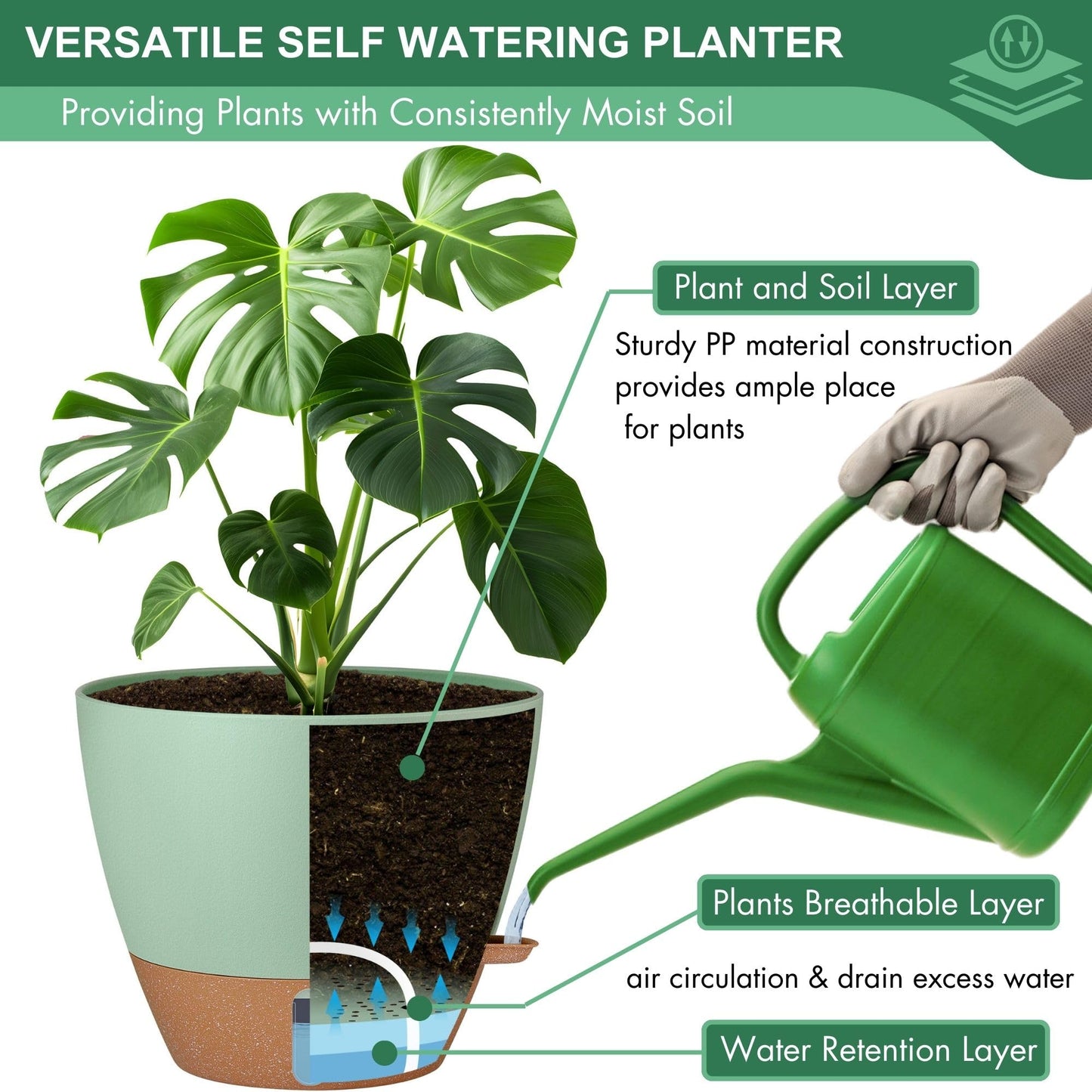 montresor Set of 2-10 Inch Hanging Planters and 5 Pack Green 5/5.5/6/6.5/7 Inch Self-Watering Pots Set