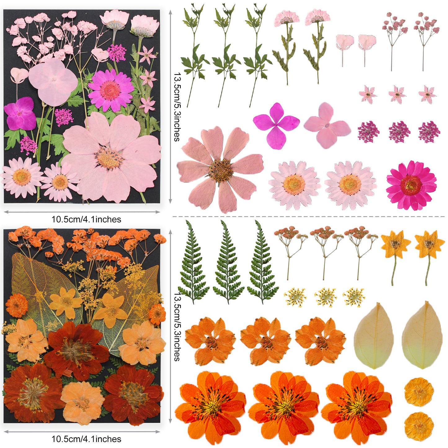TrendCart 285Pcs 9 Packs Mixed Types Real Natural Dried Pressed Flowers & Leaves for Resin Molds, DIY Crafts, Jewelry Making + 100Pcs Butterfly Stickers + Tweezers