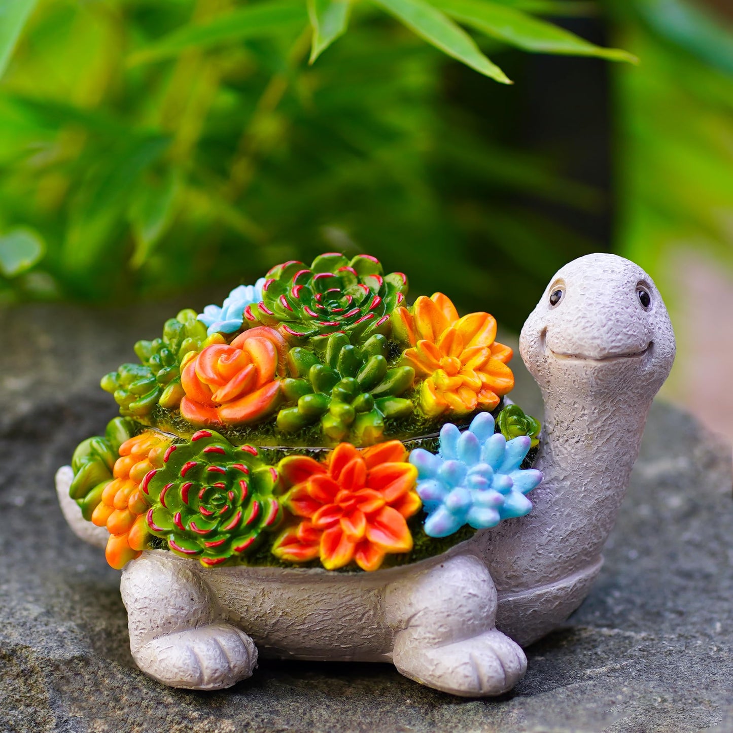 Fashionoda Outdoor Turtle Key Hider Statue - Cute Succulent Turtle Hide a Key Outdoor Decorative - Small Gift Box for Women, Home Decor & Gifts