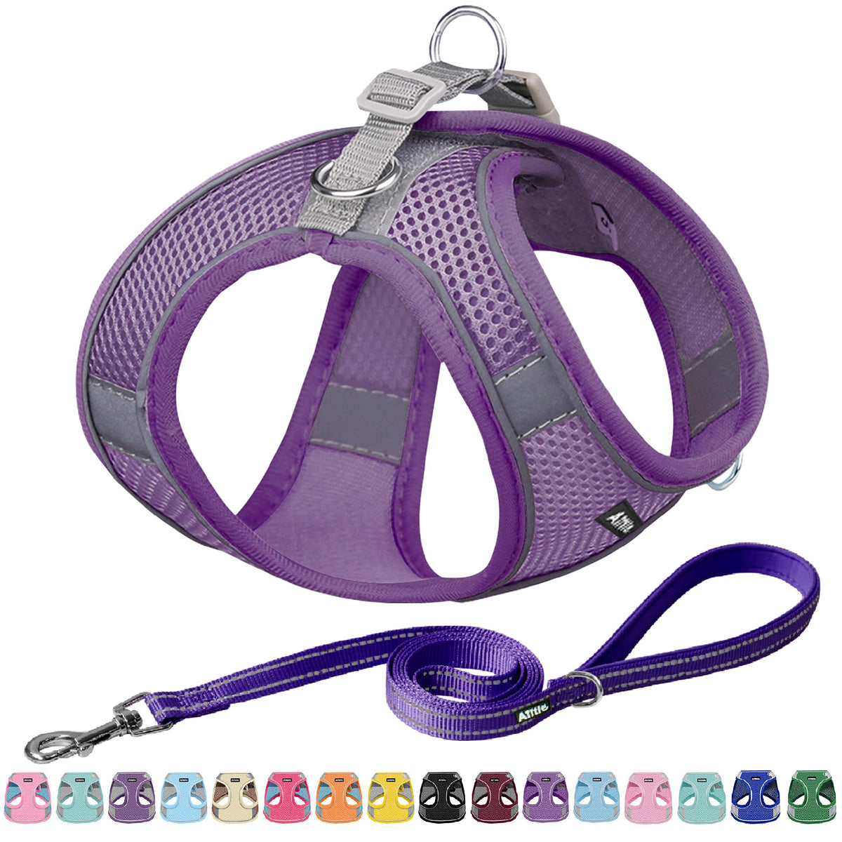 AIITLE Dog Harness and Leash Set, Step-in Puppy Vest, Pure Turquoise XXXS