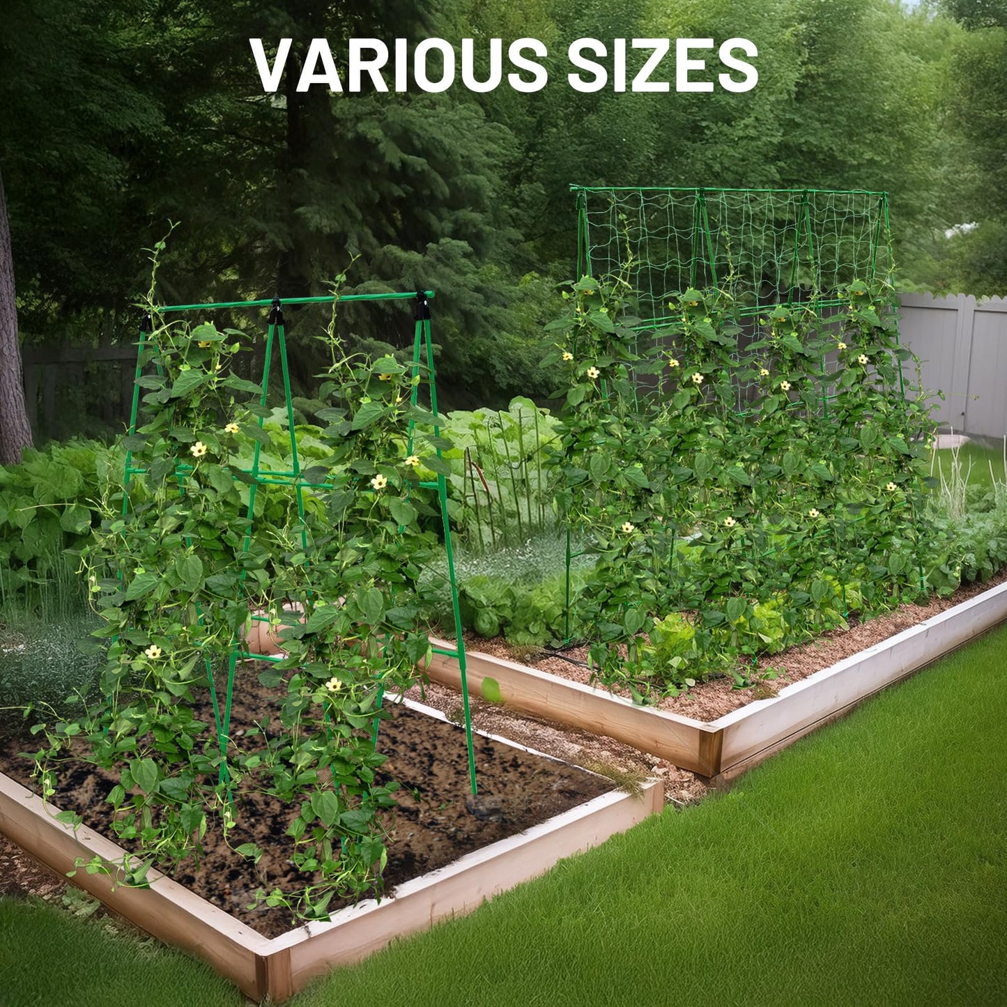 PHENEAHILL Compact A-Frame Plant Trellis for Peas, Beans & Small Climbing Plants - Rust-Resistant, Easy to Assemble, Lightweight Steel, Ideal for Raised Beds & Container Gardens(31" W x 47" H)