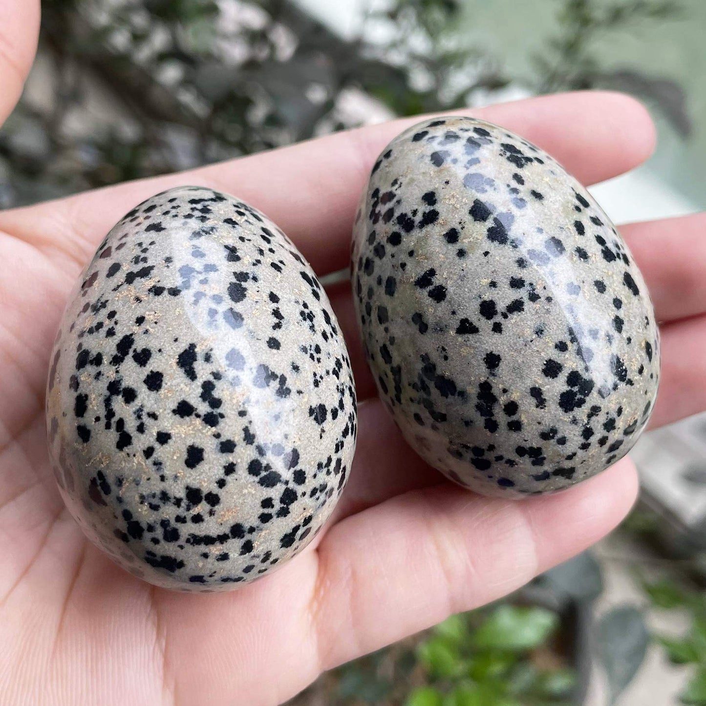 Fekuar Stone Egg Figurine, Polished Healing Crystal Easter Eggs Sphere Sculpture with Wood Stand, Dalmation Jasper, 1.8"