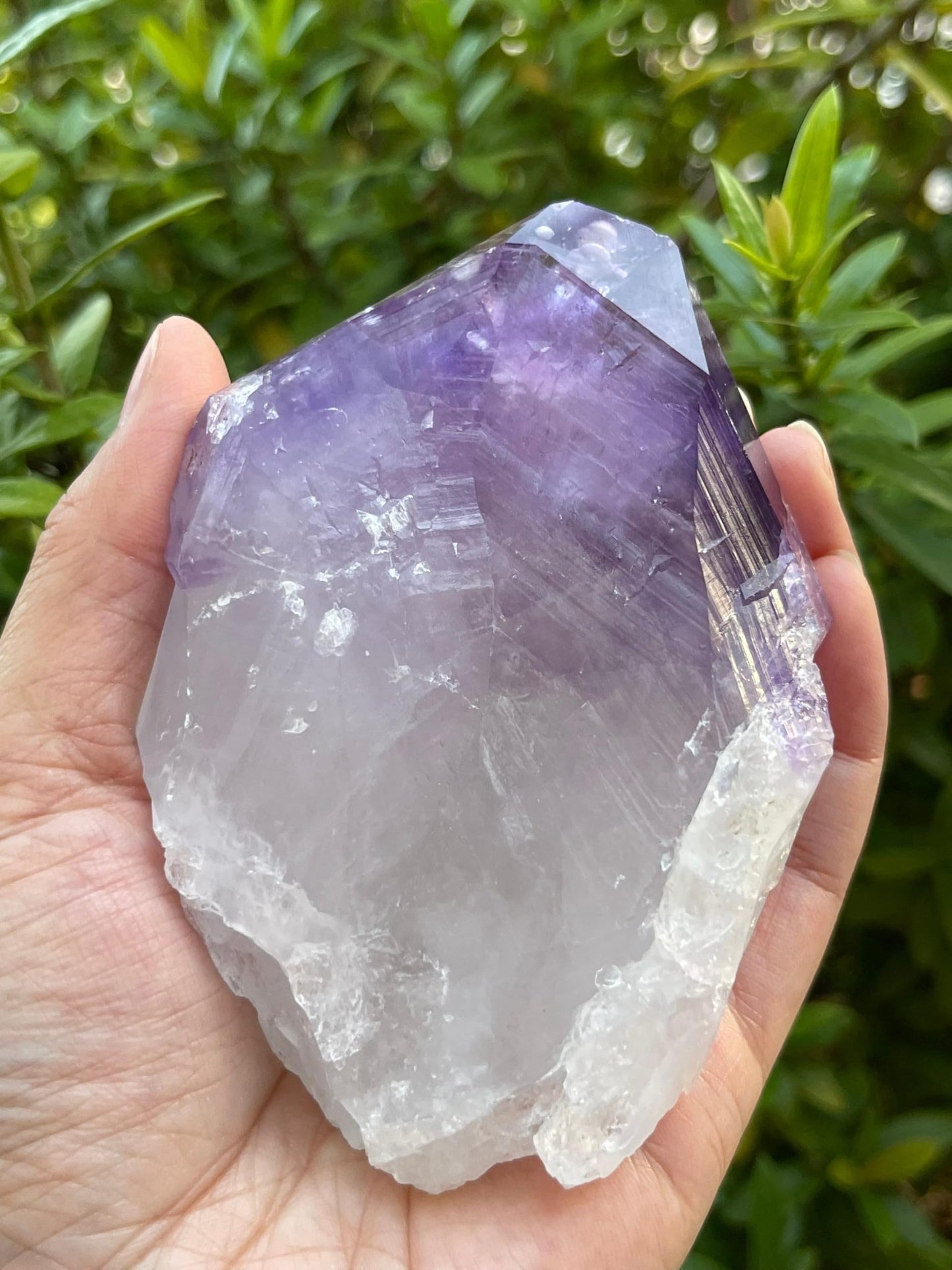 GAF TREASURES XL Raw Amethyst Point 3-4"- Natural Amethyst Healing Stone for Meditation, Energy Work & Home Decor (0.5-1 lb)