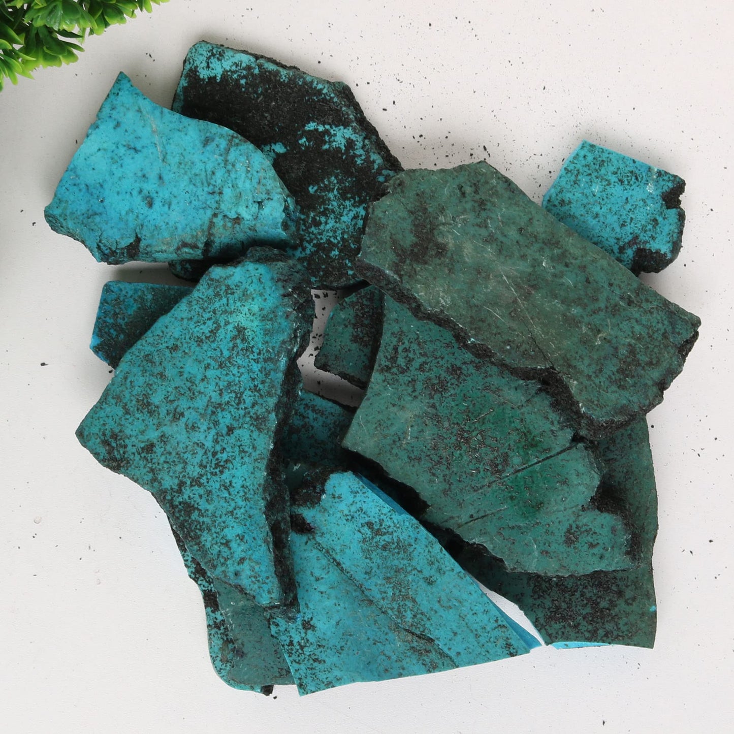 REAL-GEMS Natural Raw Healing Crystals Rough Stones for Tumbling, Cabbing, Polishing, Wire Wrapping, Wicca & Reiki Crystal Healing, Mix Gemstones,7 Chakra (Turquoise Plate)