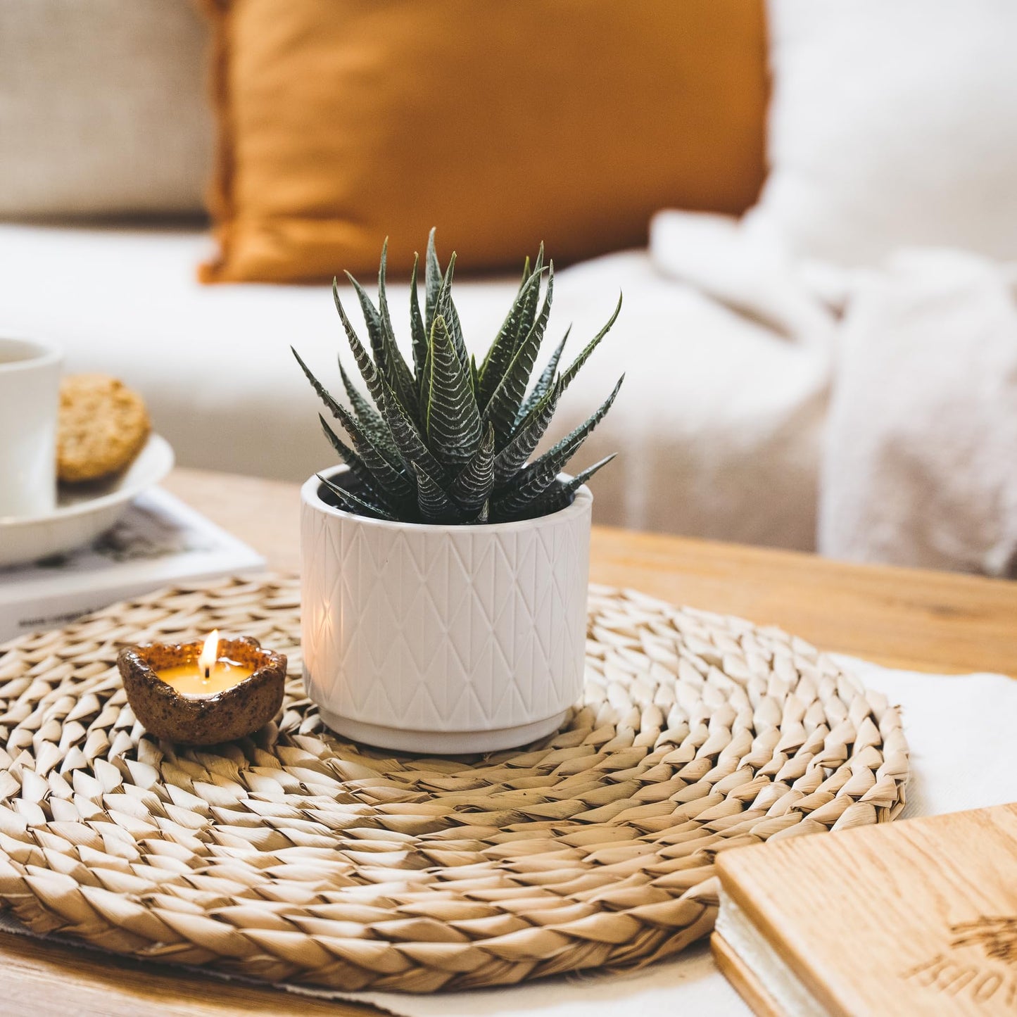 Artificial Succulent Plant in Matte White Ceramic Pot | 7" high Dark Green Aloe Plant | Great as desk decor or bathroom decor | beautiful realistic faux succulent with no maintenance