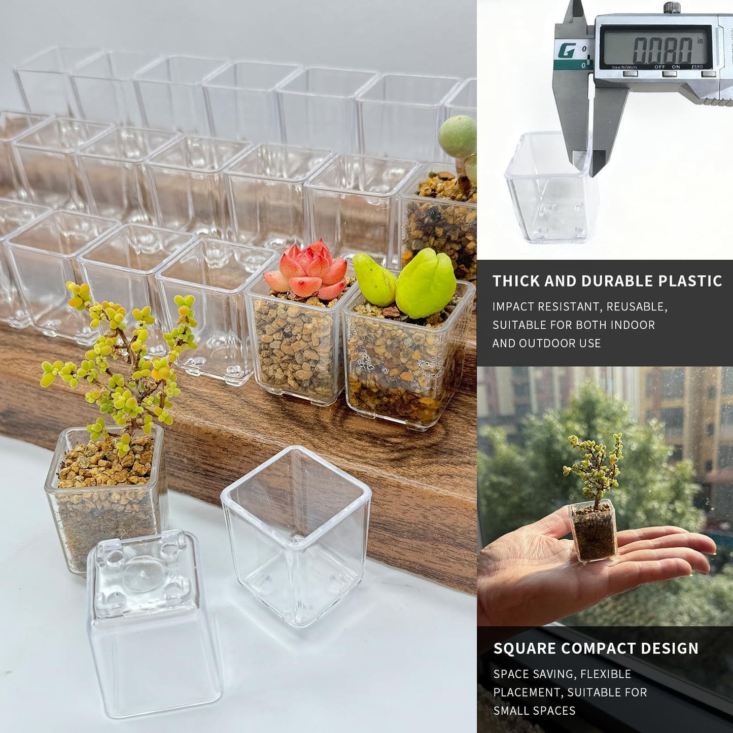 QCSMBFL 24pcs Super Tiny Mini Clear Plastic Planter, 1.1" Small Succulent Nursery Pots with Drainage Hole & Storage Box with Lid (Lid for Storage Only)，Micro Plants Pots for Root Viewing, Home Decor