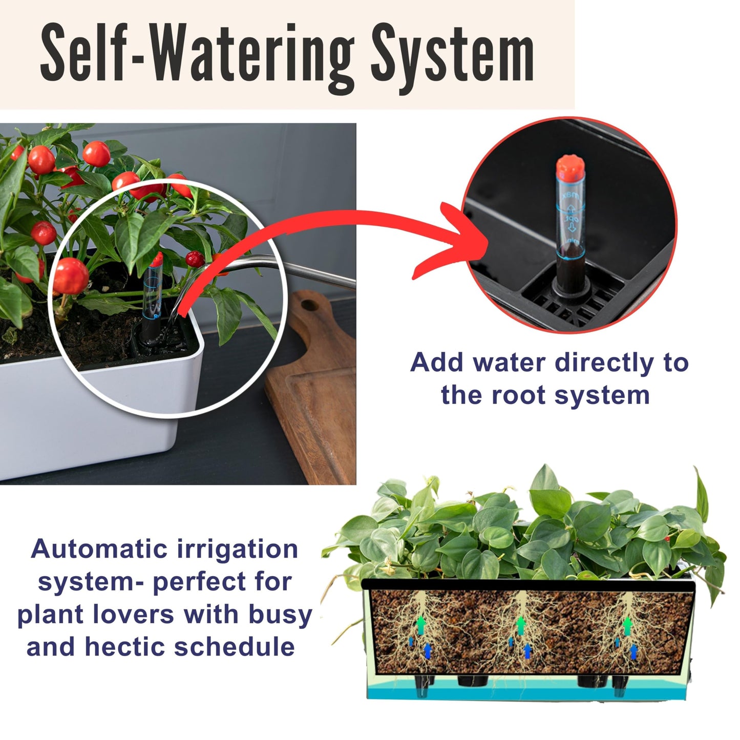 LaLaGreen Bundle- 2-Pack, 16 Inch Rectangular Self Watering Planter + 10-Pack, 5 Inch Black Self Watering Plastic Pot Decorative Eco Living Wall Mount Hanging Garden Windowsill Herb Boxes Indoor Home
