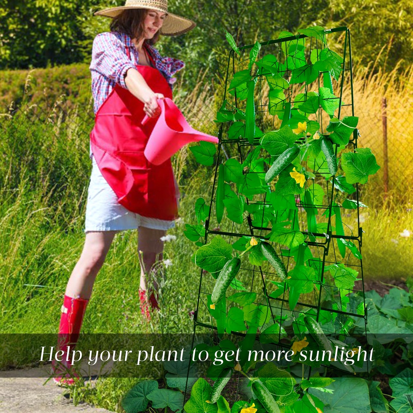 Heavy Duty Cucumber Trellis Thickened for Raised Garden Bed,48"x16" Foldable Frame Metal Vegetable Trellis for Climbing Plants Outdoor Plant Support for Grape Tomato Peas, Fruit, Vine,Bean(1 Pack)
