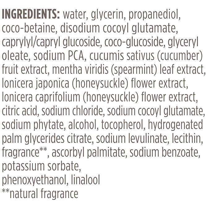 Burt's Bees Refreshing Foaming Face Cleanser and Natural Face Wash with Cucumber and Mint, 4.8 Fluid