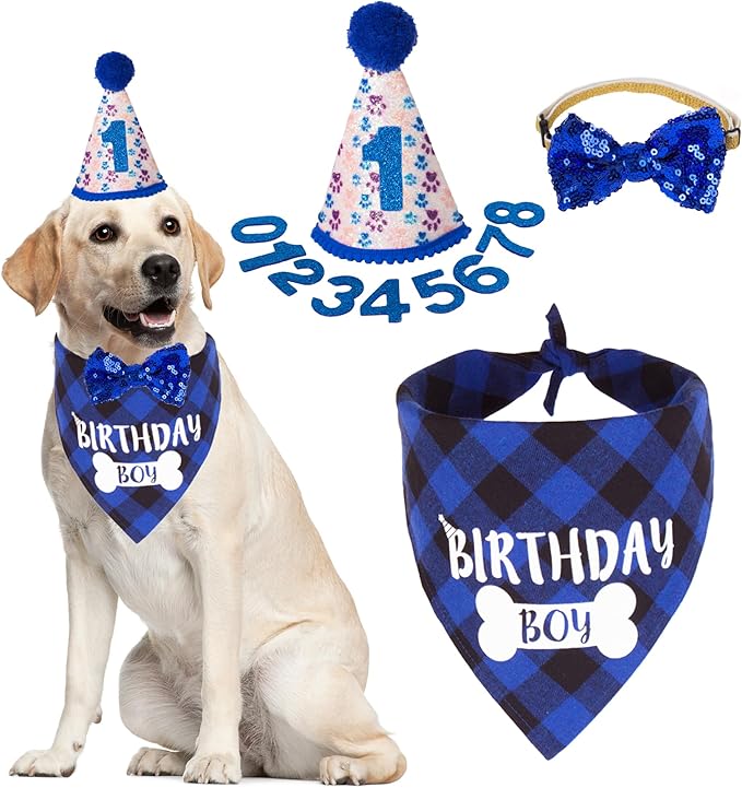 ADOGGYGO Dog Birthday Hat, Pink Birthday Girl Bandana Set, Small
