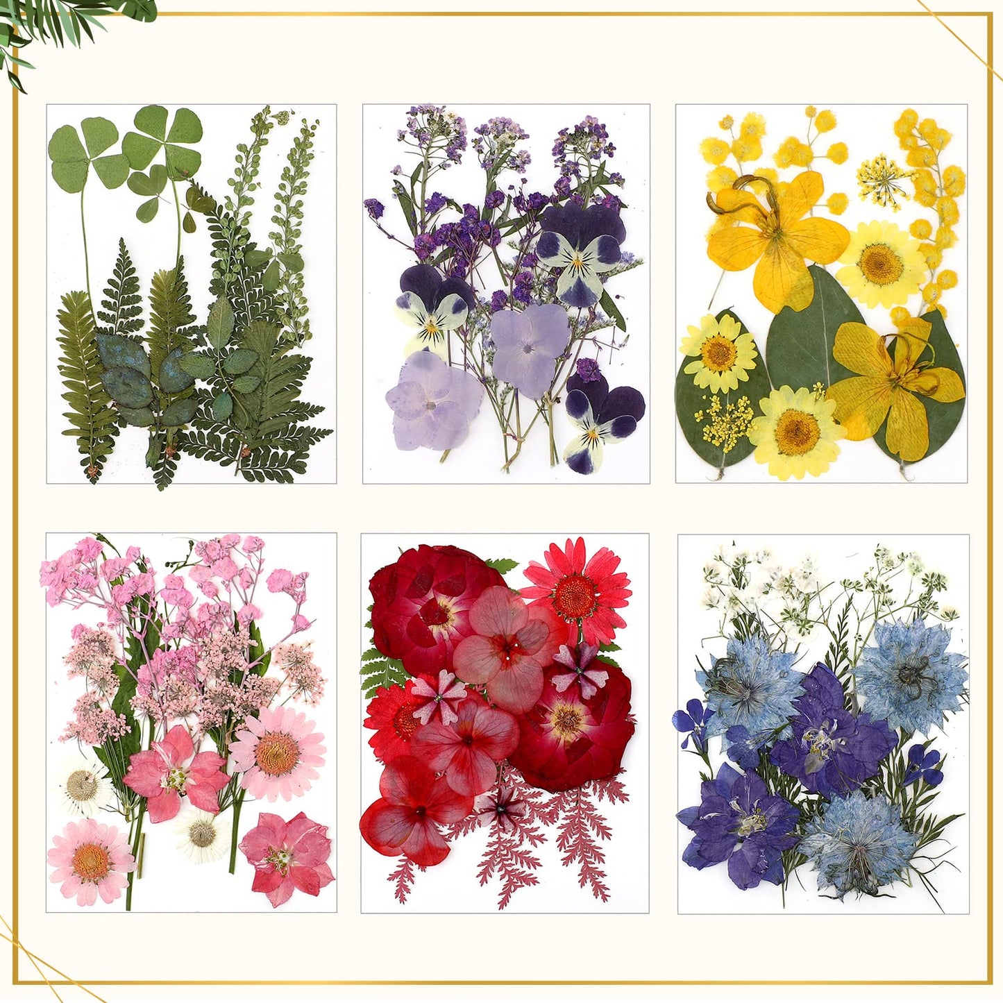 Bucherry 5 Pcs Glass Frame for DIY Pressed Flowers Art Brass Hanging Photo Picture Frame with Chain and 6 Styles Pressed Flowers Collage Glass Craft Frames for Wall Decor Display Gallery (Gold)