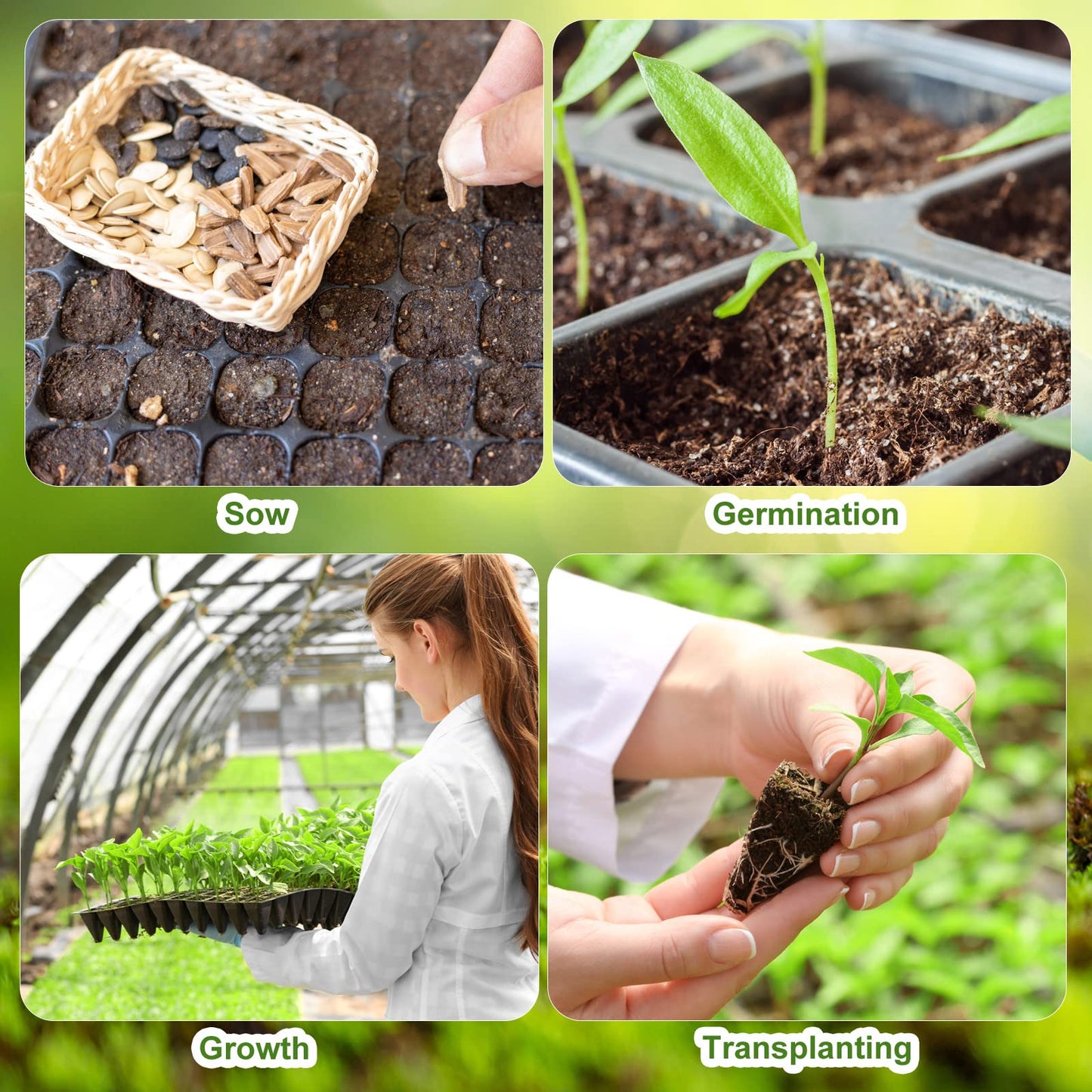 Eccliy 20 Pack 200 Cell Seedling Trays Seed Starter Kit Plant Starter Tray Durable Plastic Gardening Germination with Drain Holes Nursery Pots Mini Propagator for Growing Propagation