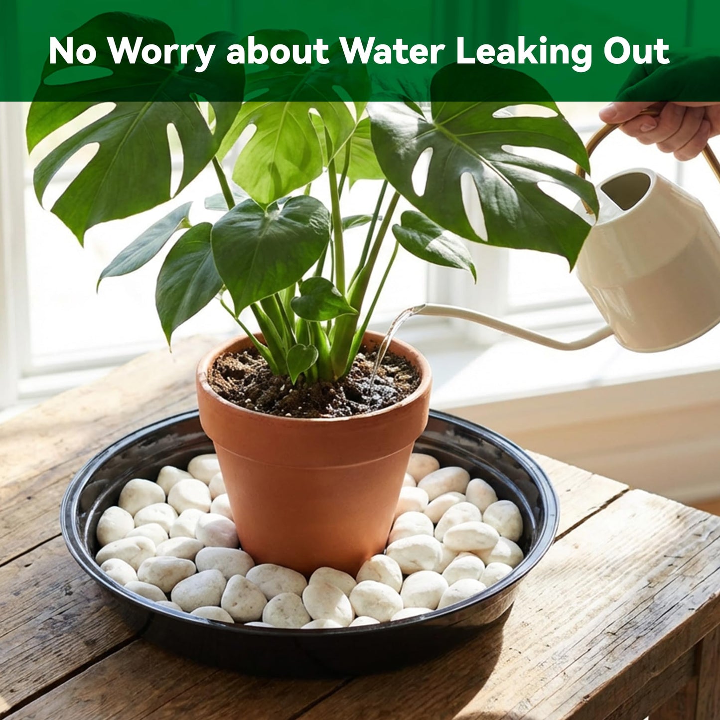 TRUEDAYS 20 Pack Black Plant Saucers – 4 Sizes (6"/8"/10"/12") Plastic Flower Pot Trays for Indoor & Outdoor Plants, Drip Trays to Protect Floors & Surfaces
