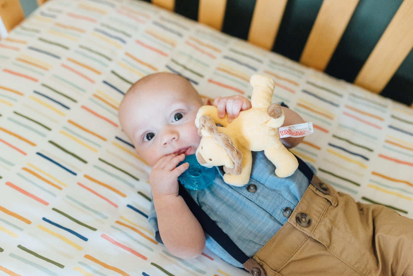 WubbaNub Infant Pacifier - Baby Lion