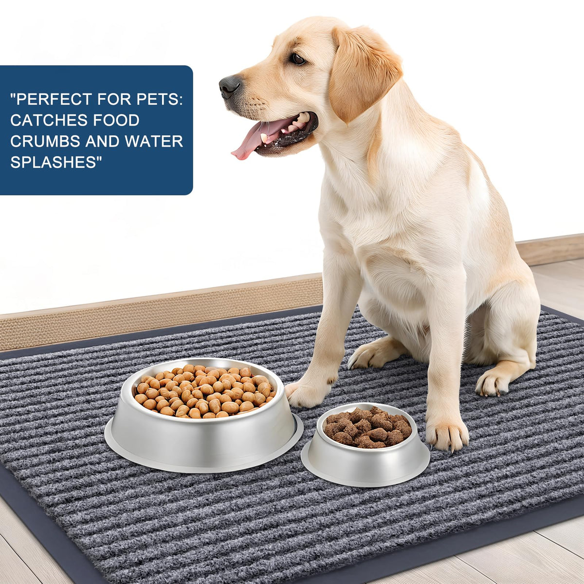 Front Door Mat 47x30