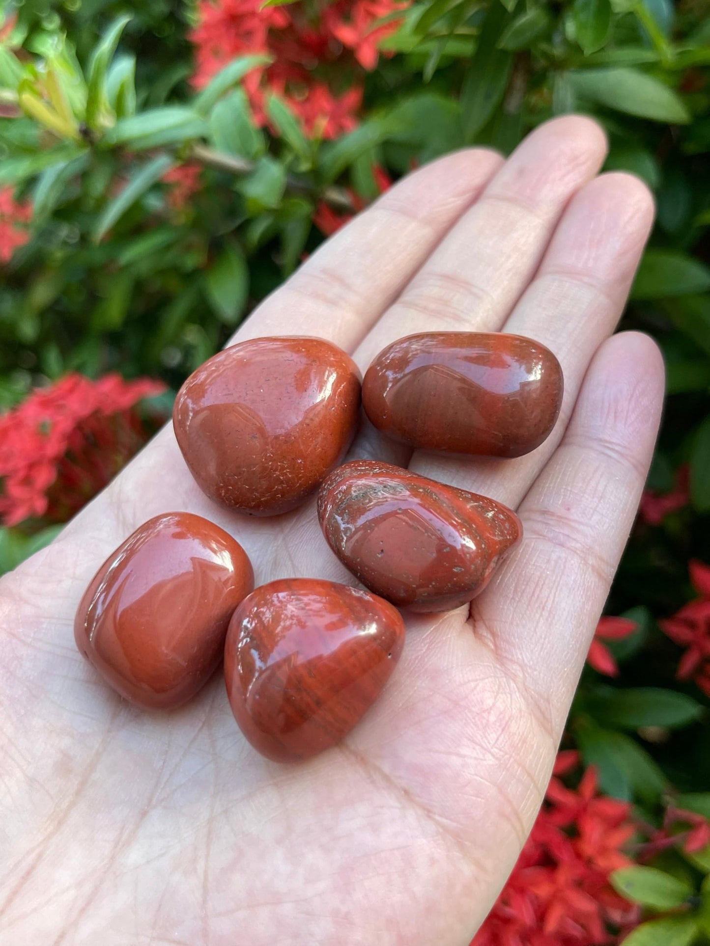 GAF TREASURES 5 Pcs Red Jasper Tumbled Stones, Polished Red Jasper Gemstone, Red Jasper Healing Crystals (Red Jasper)