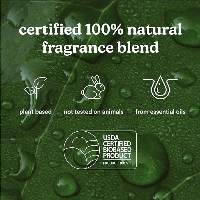 Homedics SereneScent Moroccan Magic, Fruity & Woody Home Fragrance Oil, 120 ml, for use with Homedics SereneScent Waterless Diffuser (ARMH-970/973), Clean & Natural, up to 100% USDA Biobased