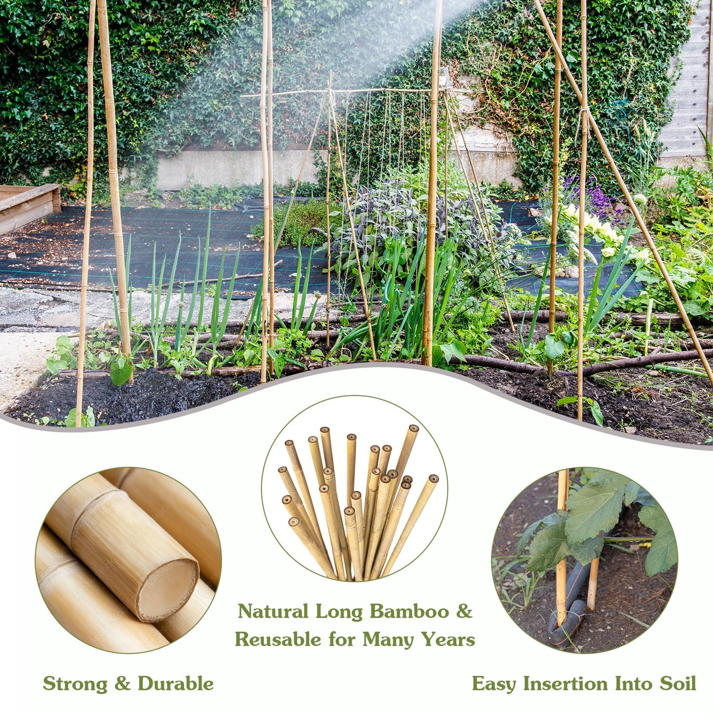 Plant Stakes 4FT, Natural Bamboo Stakes, HAINANSTRY 25Pcs Sturdy Bamboos Garden Stake, Bamboo Sticks for Plants, Beans, Indoor and Outdoor Climbing Plants, Tomato Vegetable Stakes for Garden