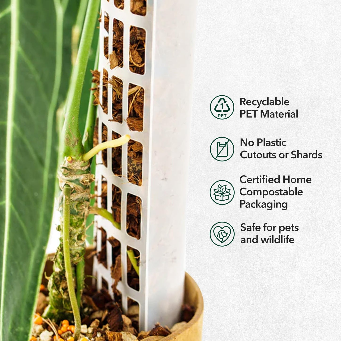 THICCLY V2 GrowPole Large 5 Pcs – Patented D-Shape Moss Pole for Climbing Plants, Moisture-Locking Closed Back, Stackable Monstera & Philodendron Support