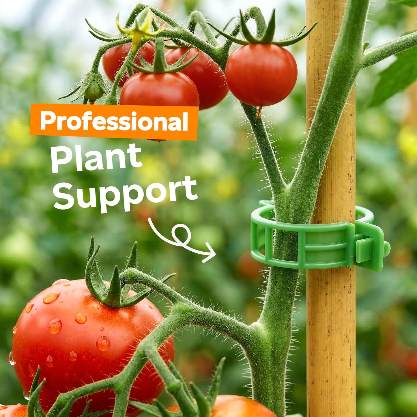 100pcs Tomato Clips for Climbing plants, Plastic Trellis Plant Support Clips for Garden, Reusable Clips for Supporting Grape Tomato Vine and Vegetables Plants to Grow Upright Makes Plants Healthier