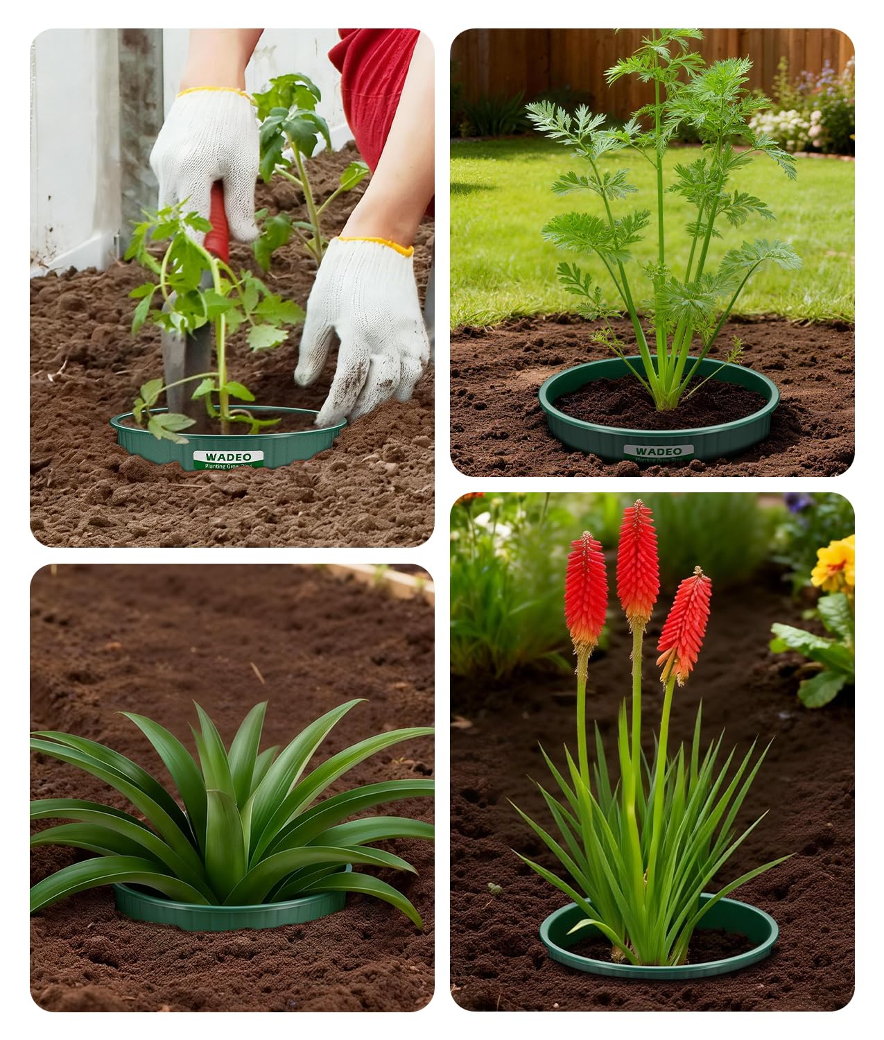 7 inch Planting Grow Rings, 6 PCS Plant Rings for Outdoor Plants, Perfect for Deep Root Watering Veggies Herbs and Flowers