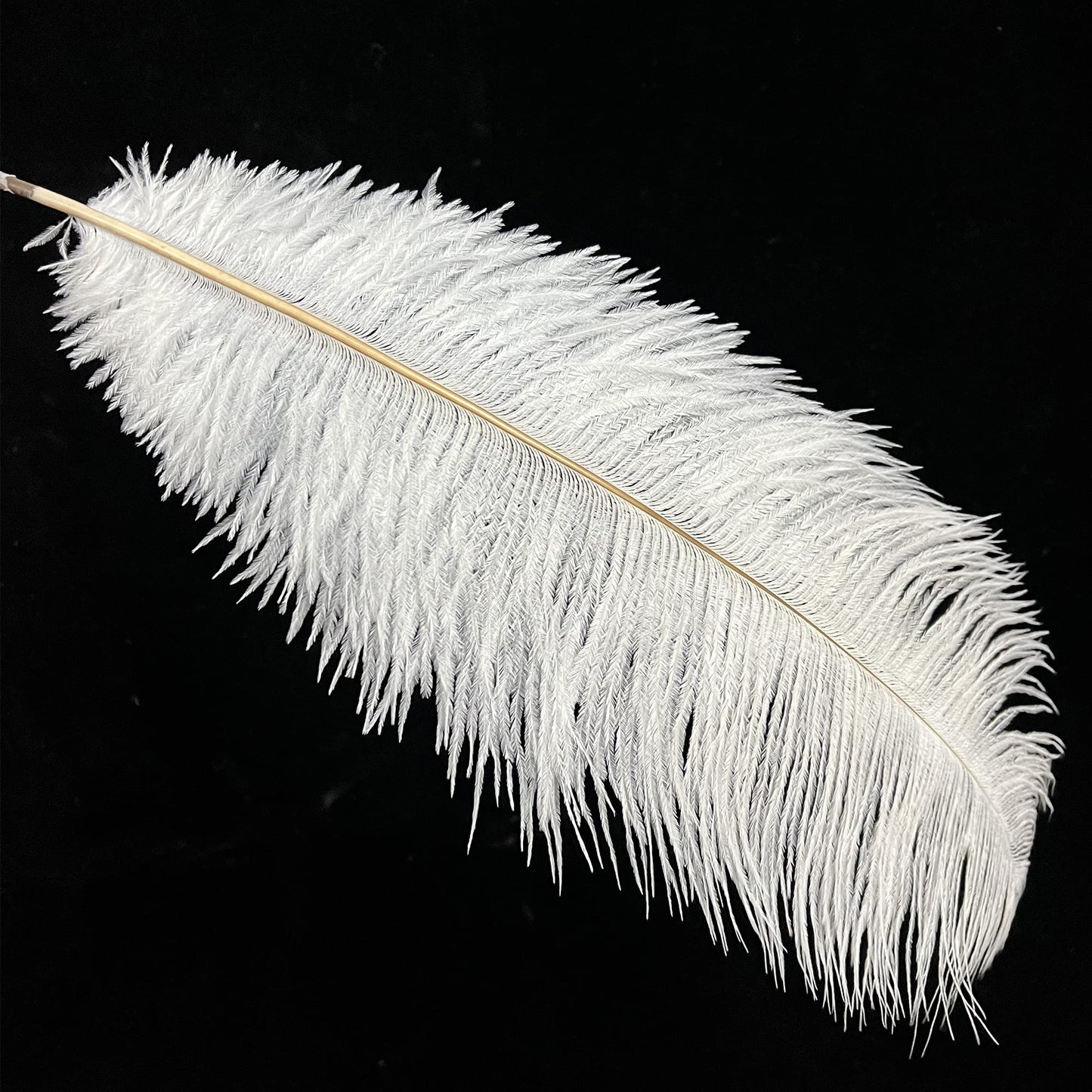 Happy Feather 16-18 inch White Ostrich Feathers Craft for Wedding Party centerpieces Home Decoration DIY Craft Pack of 10