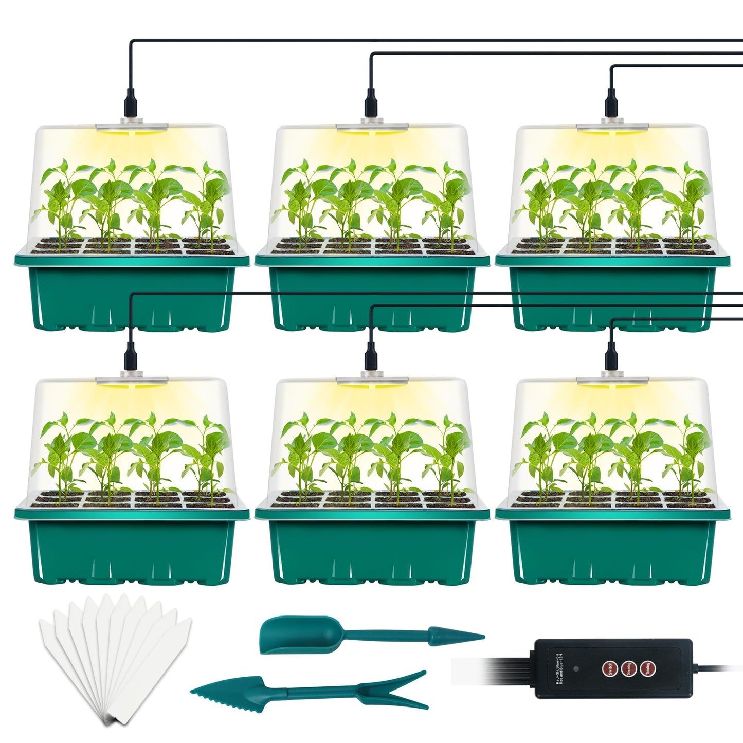 LYDTICK 6-Set Seed Starter Tray with Grow Light, Seed Starting Trays Kits with Timing Controller Adjustable Humidity Domes Heightened Lids(12-Cells Per Tray)