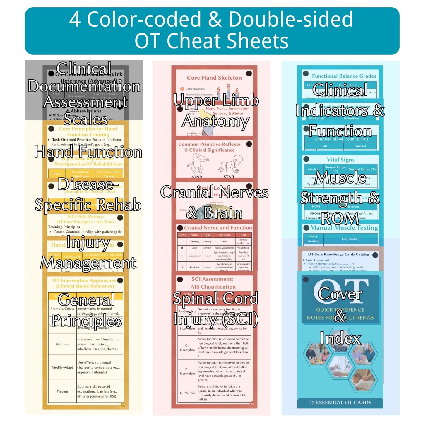 Occupational Therapy Quick Reference - 42 Essential OT Cards for Adults - an Ideal Gift & Tool for Occupational Therapists, OTAs, and Students - Therapist Must Haves