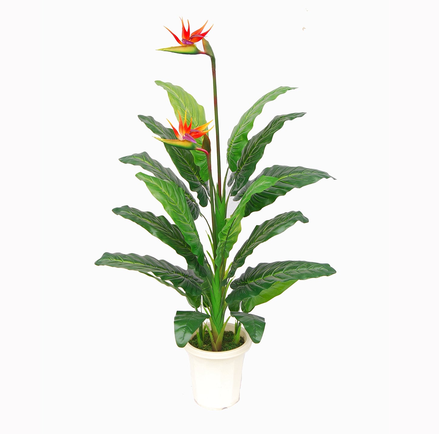 AMERIQUE Gorgeous 5' Paradise Bird Artificial Flower Silk Tree Plant, with Nursery Plastic Pot, Feel Real Technology, with UV Protection, Super Quality