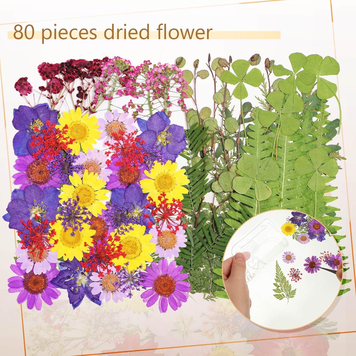 TaoBary 161 Pcs DIY Transparent Dried Flower Bookmark Set Include Clear Bookmarks Dried Flowers Colorful Tassels and Tweezer Handmade Dried Floral Bookmark for Reader Book Bottle(Pretty)