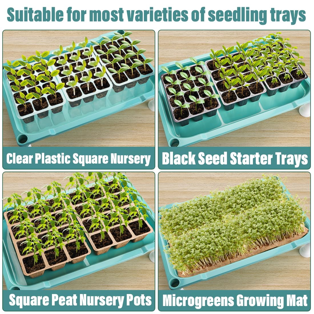 RooTrimmer 5-Tier Seed Starter Tray, Plant Stand Designed for Cell Trays and Small Pots for Gardening Indoor Outdoor Growing (Blue)