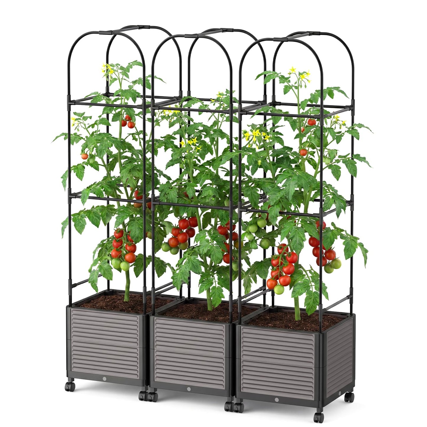 DoCred 60" H Raised Garden Bed Planter Box with Wheels, 3 Pack Tomato Cage Planter Raised Garden Bed with Trellis for Climbing Vegetables Plants Tomato Cage, Indoor Outdoor Use