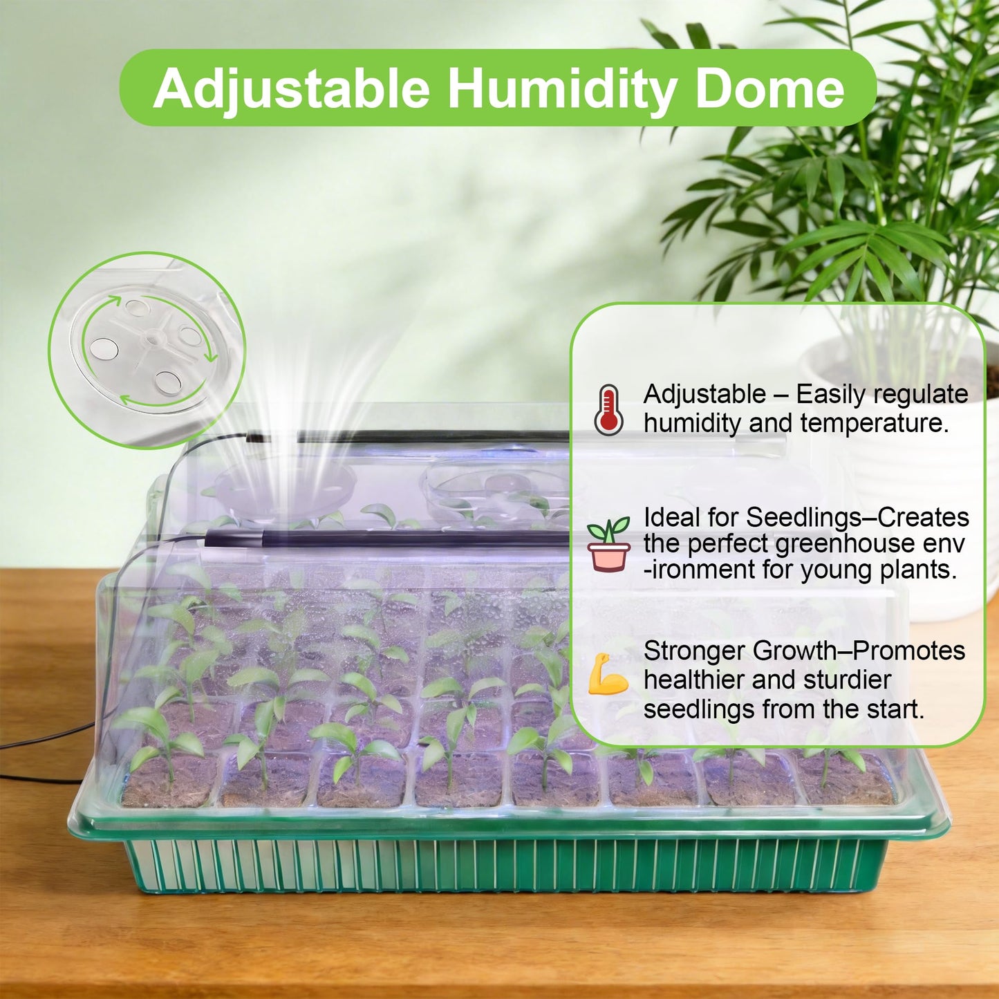 AWUREYIT Seed Starter Tray with Grow Light, 2 Pack 80 Cells Seed Starter Kit, Complete System with Humidity Dome, Full Spectrum LED, Dimmable Timer for Indoor Gardening & Seedlings