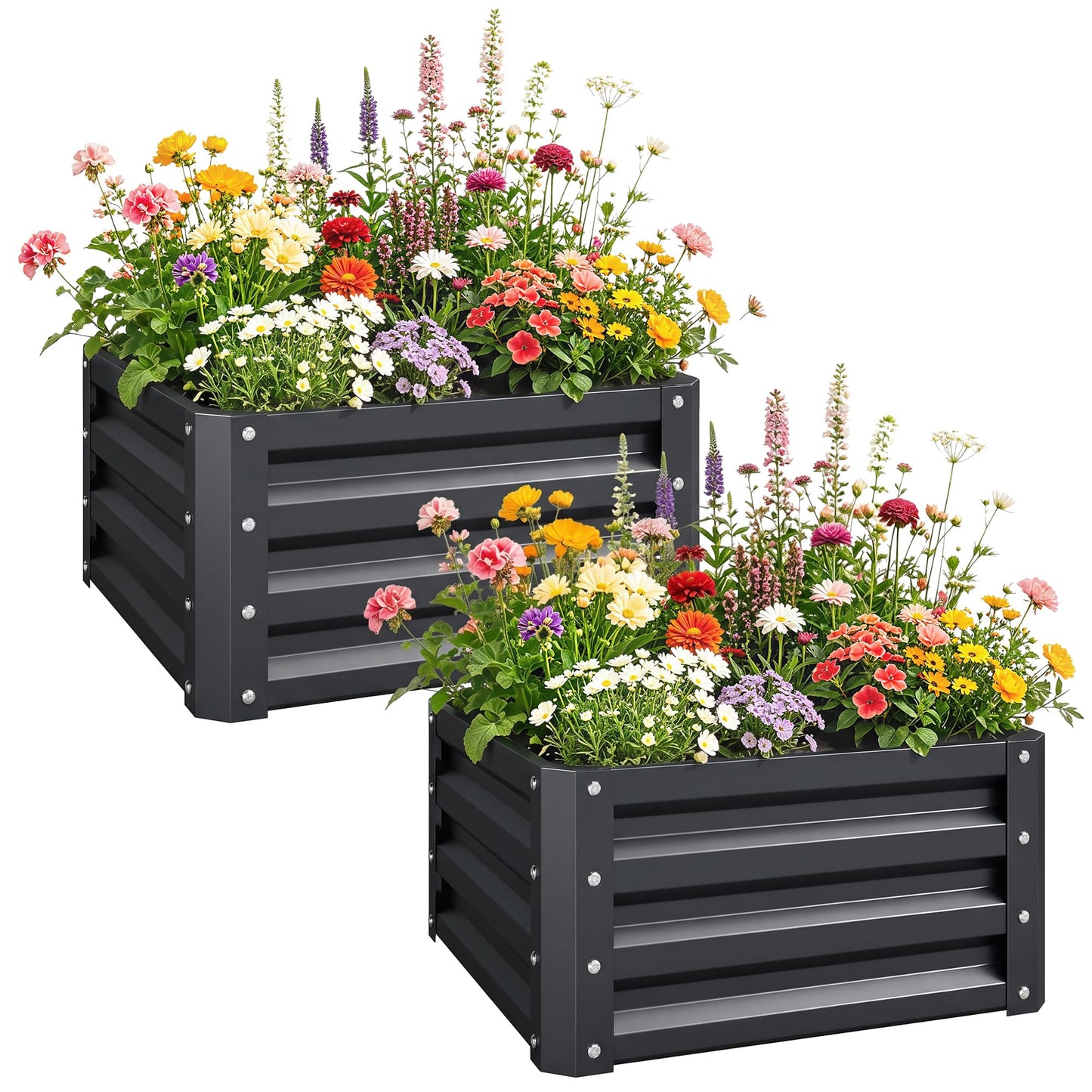 Outsunny 2 Piece Galvanized Raised Garden Bed, 2' x 2' x 1' Metal Planter Box for Growing Vegetables, Flowers, Herbs, Succulents, Dark Gray