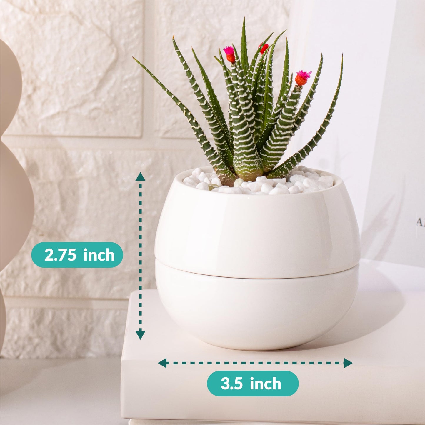 Willowy 3.5 Inch Small Succulent Pots - 3pk, Mini/Small White Ceramic Succulent Pots - No Plants Included
